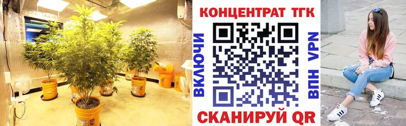 Дистиллят ТГК вейп  продажа наркотиков  Гусев 